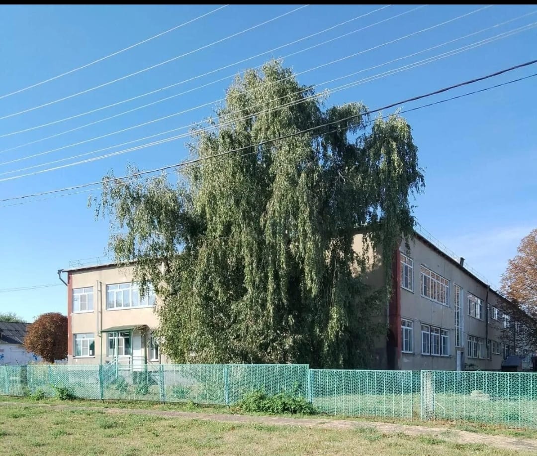 Фотография школы.